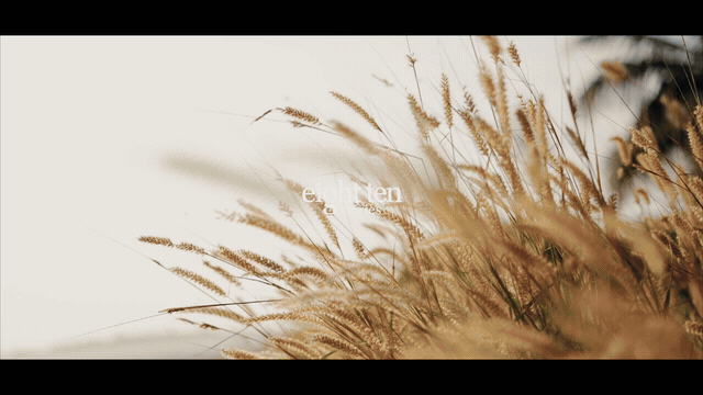 Wedding Film Preview